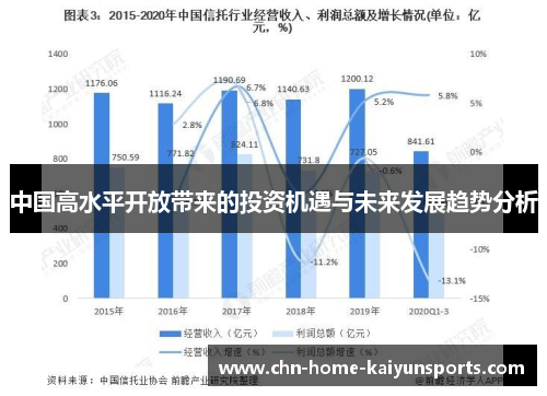 中国高水平开放带来的投资机遇与未来发展趋势分析
