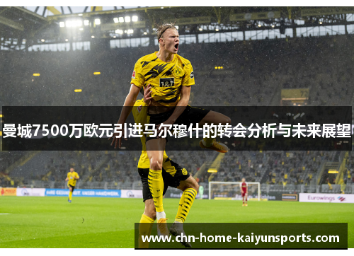 曼城7500万欧元引进马尔穆什的转会分析与未来展望