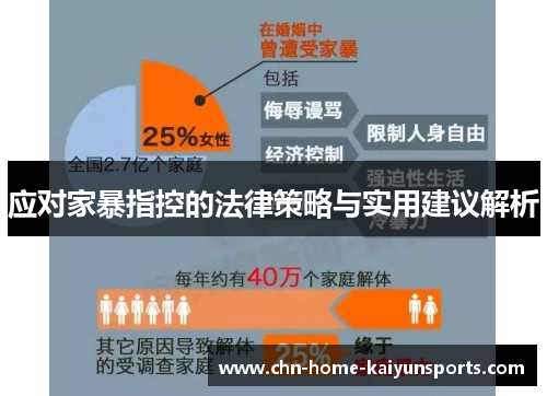 应对家暴指控的法律策略与实用建议解析
