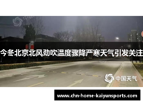 今冬北京北风劲吹温度骤降严寒天气引发关注