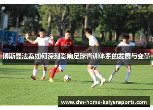 博斯曼法案如何深刻影响足球青训体系的发展与变革