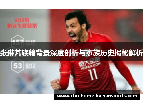 张琳芃族籍背景深度剖析与家族历史揭秘解析