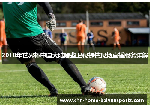 2018年世界杯中国大陆哪些卫视提供现场直播服务详解