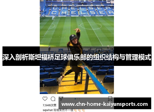 深入剖析斯坦福桥足球俱乐部的组织结构与管理模式