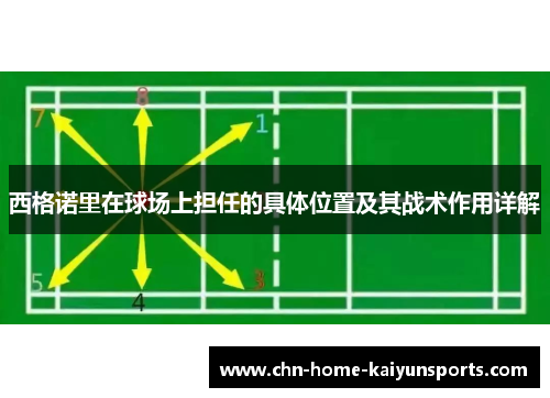 西格诺里在球场上担任的具体位置及其战术作用详解